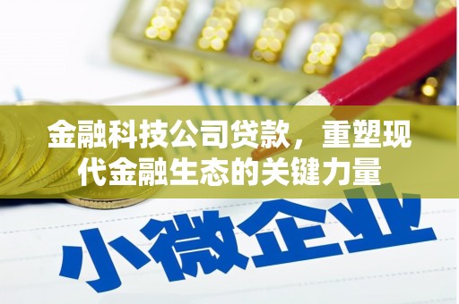 丰县金融科技公司贷款，重塑现代金融生态的关键力量