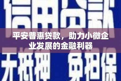丰县平安普惠贷款，助力小微企业发展的金融利器