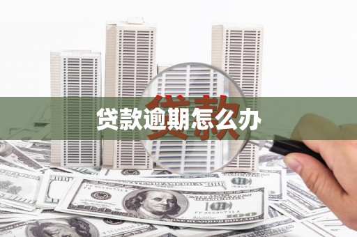 丰县贷款逾期怎么办