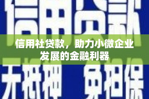丰县信用社贷款，助力小微企业发展的金融利器