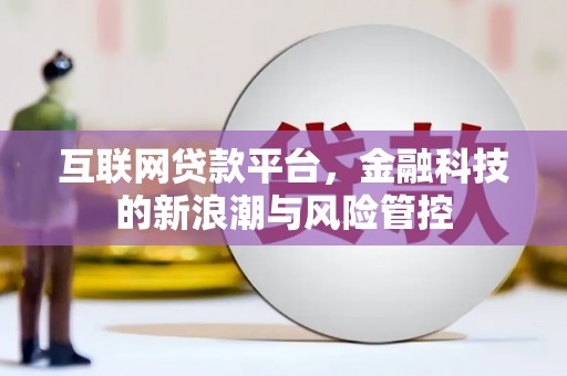丰县互联网贷款平台，金融科技的新浪潮与风险管控