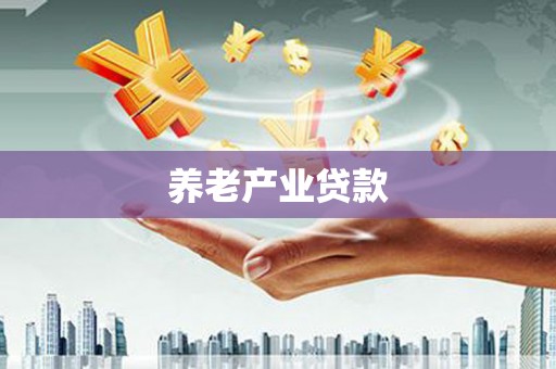 丰县养老产业贷款