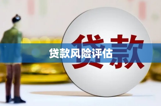 丰县贷款风险评估