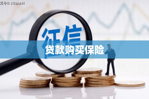 丰县贷款购买保险