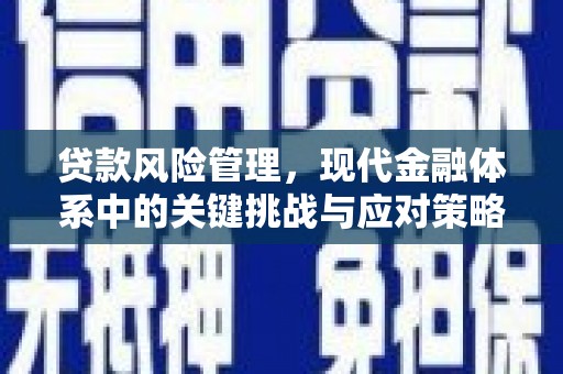 丰县贷款风险管理，现代金融体系中的关键挑战与应对策略