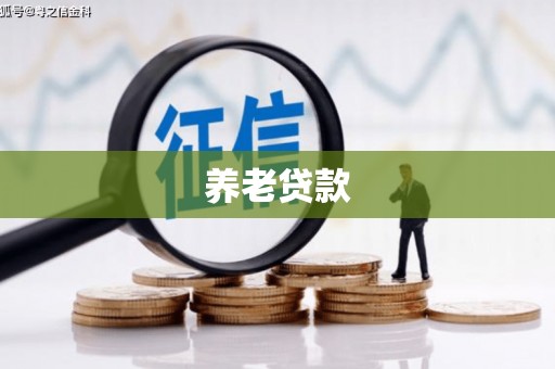 丰县养老贷款