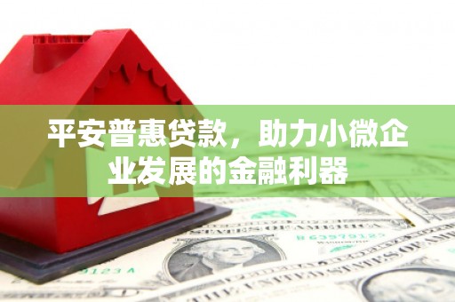 丰县平安普惠贷款，助力小微企业发展的金融利器