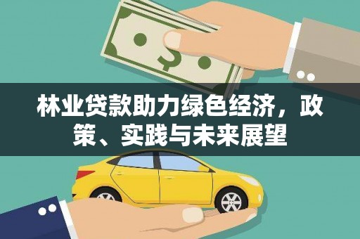 丰县林业贷款助力绿色经济，政策、实践与未来展望