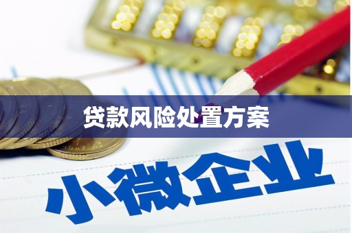 丰县贷款风险处置方案