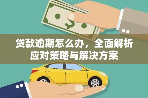 丰县贷款逾期怎么办，全面解析应对策略与解决方案