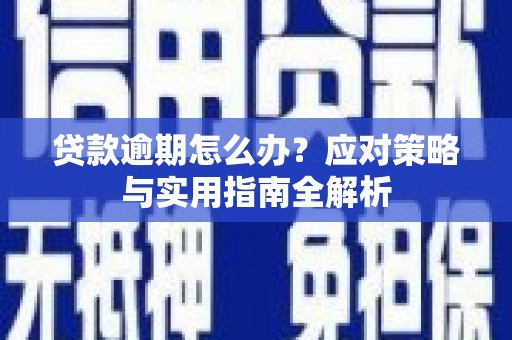 丰县贷款逾期怎么办？应对策略与实用指南全解析