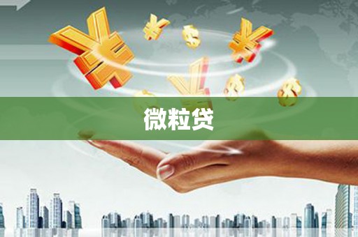 丰县微粒贷