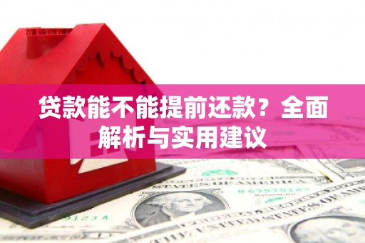 丰县贷款能不能提前还款？全面解析与实用建议