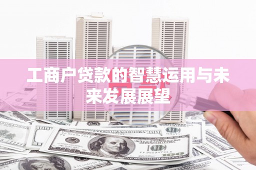 丰县工商户贷款的智慧运用与未来发展展望