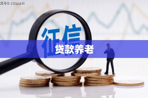 丰县贷款养老