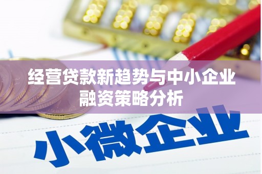 丰县经营贷款新趋势与中小企业融资策略分析