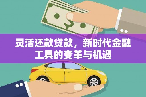 丰县灵活还款贷款，新时代金融工具的变革与机遇