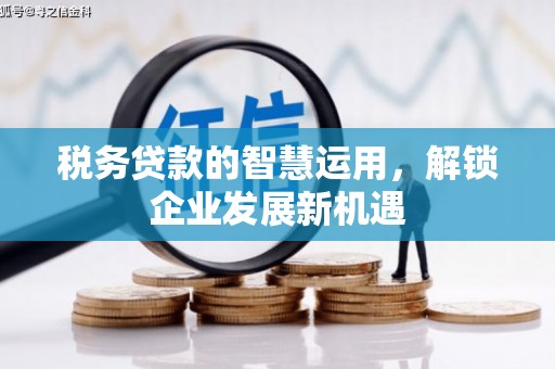 丰县税务贷款的智慧运用，解锁企业发展新机遇