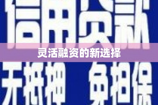 丰县灵活融资的新选择