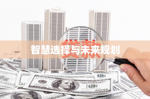 丰县智慧选择与未来规划