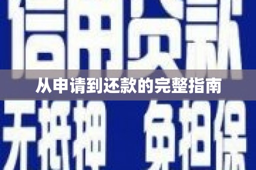 丰县从申请到还款的完整指南