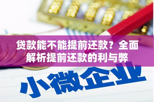丰县贷款能不能提前还款？全面解析提前还款的利与弊
