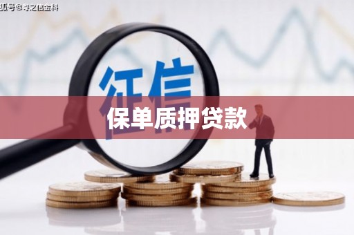 丰县保单质押贷款