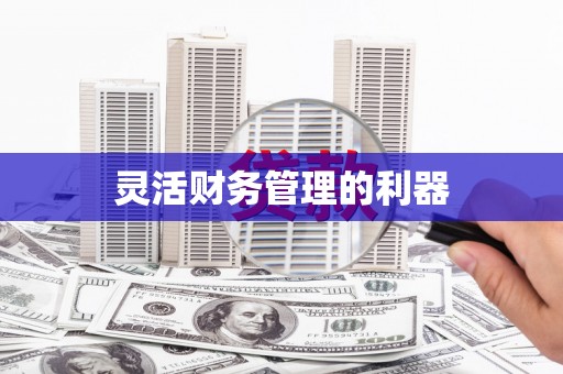丰县灵活财务管理的利器