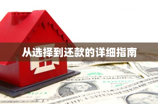 丰县从选择到还款的详细指南