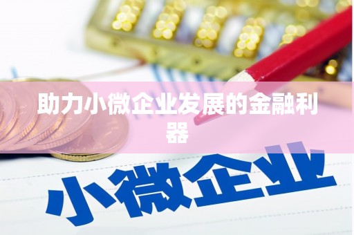 丰县助力小微企业发展的金融利器