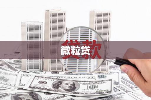 丰县微粒贷