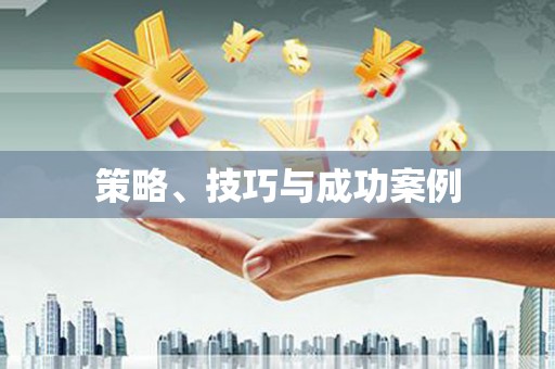 丰县策略、技巧与成功案例