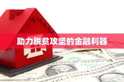 丰县助力脱贫攻坚的金融利器