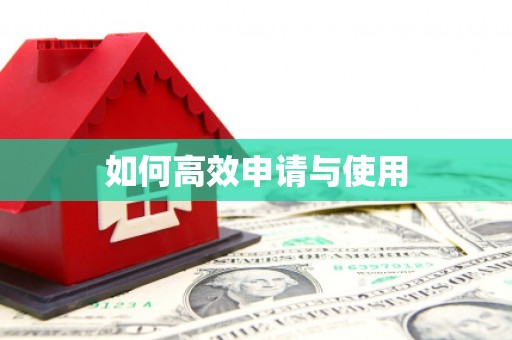 丰县如何高效申请与使用