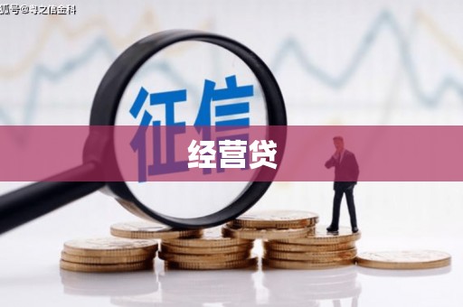 丰县经营贷