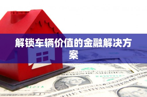 丰县解锁车辆价值的金融解决方案