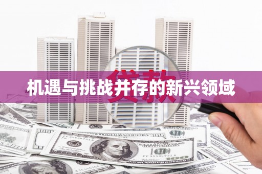 丰县机遇与挑战并存的新兴领域