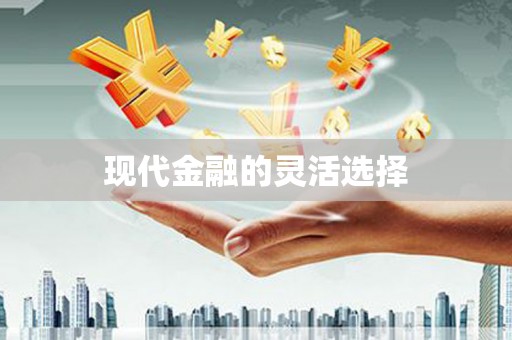 丰县现代金融的灵活选择