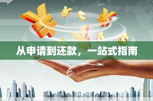 丰县从申请到还款，一站式指南