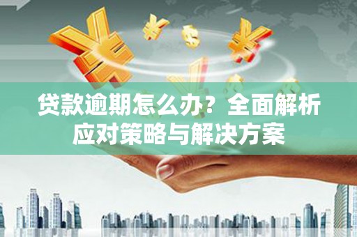 丰县贷款逾期怎么办？全面解析应对策略与解决方案