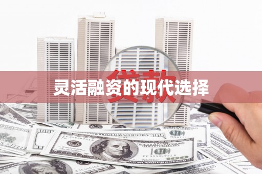 丰县灵活融资的现代选择