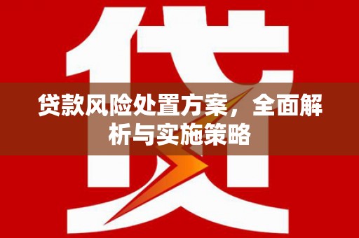 丰县贷款风险处置方案，全面解析与实施策略
