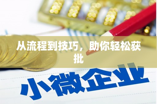 丰县从流程到技巧，助你轻松获批