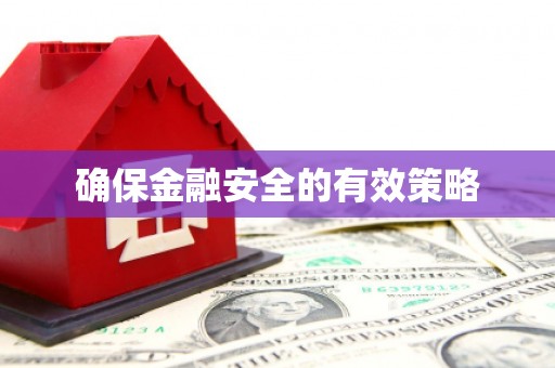 丰县确保金融安全的有效策略