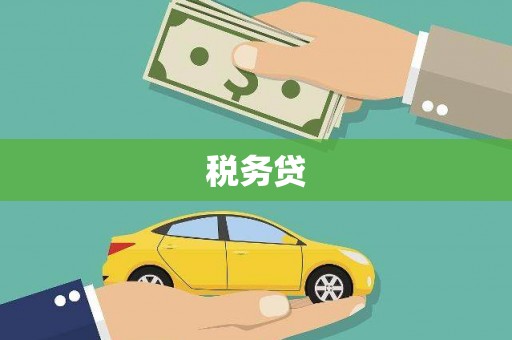 丰县税务贷
