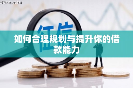 丰县如何合理规划与提升你的借款能力