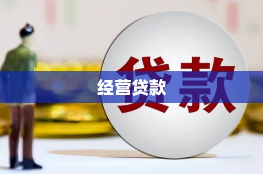 丰县经营贷款