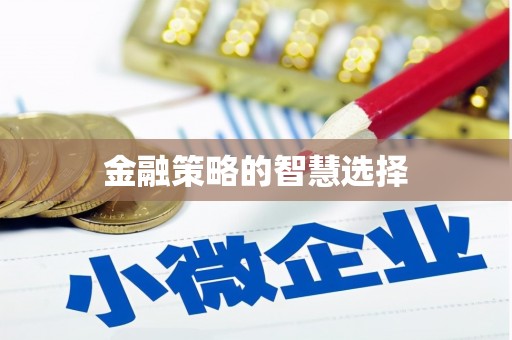 丰县金融策略的智慧选择