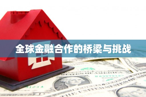丰县全球金融合作的桥梁与挑战