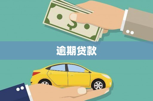 丰县逾期贷款